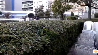 第一区第二区福利微拍,成人视频高清免费观看